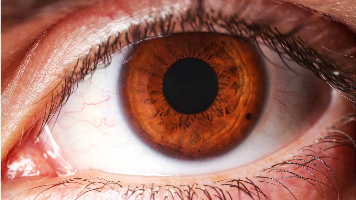 La iridología, nuestro organismo a examen a través de los ojos