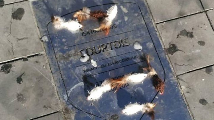 ratas