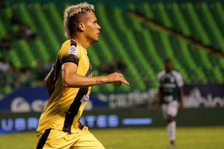 Estefano Arango
