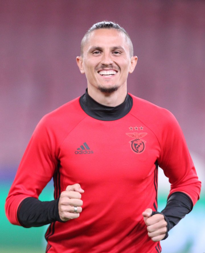 Ljubomir Fejsa