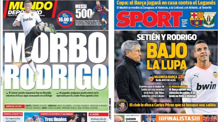 MD and Sport
