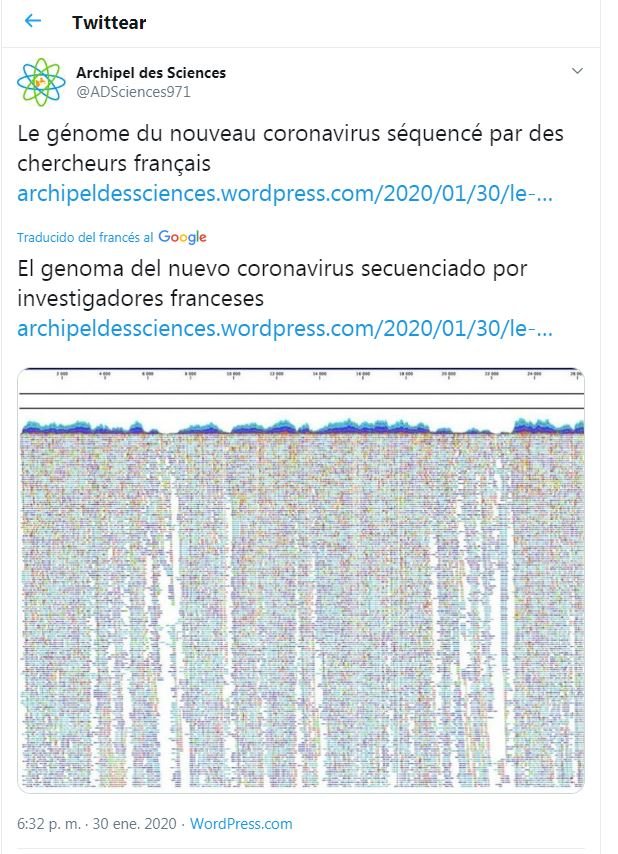 El genoma del coronavirus.