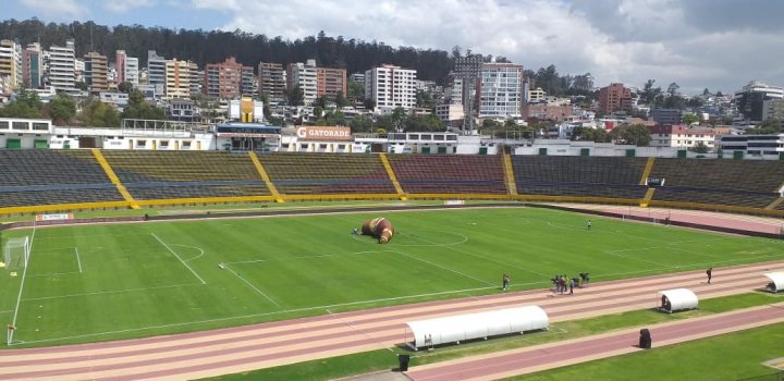 Estadio