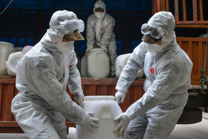 coronavirus desinfectante