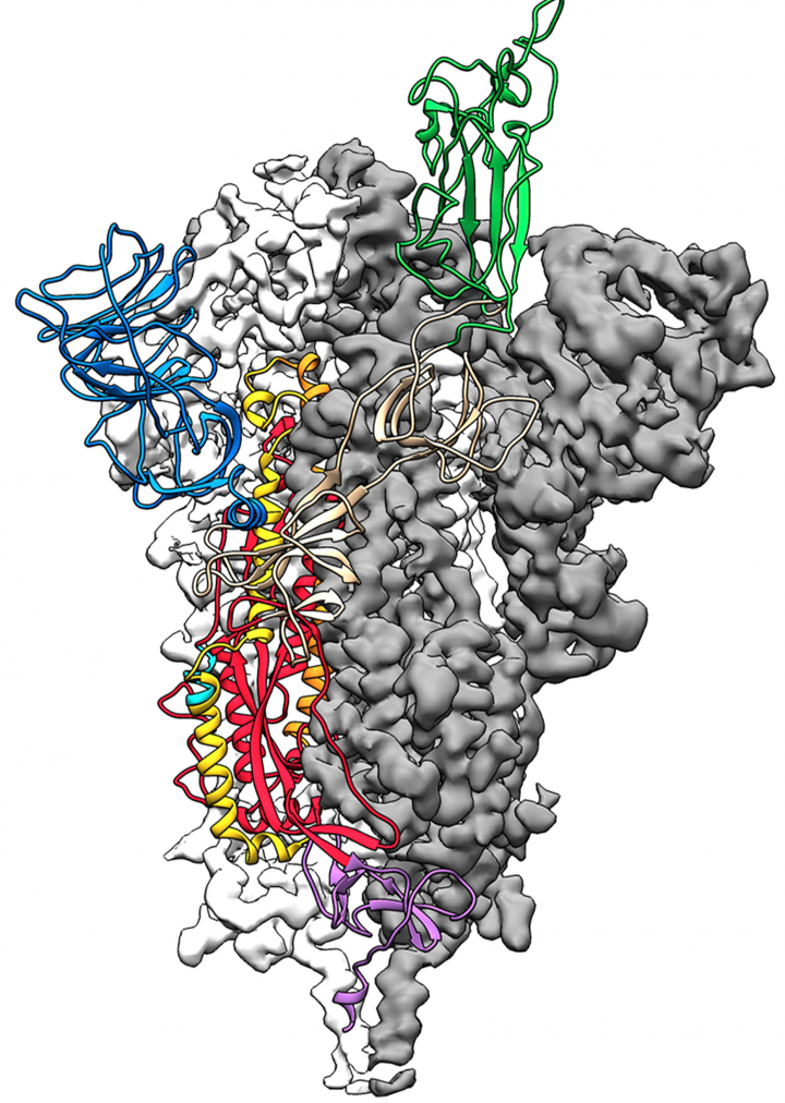 coronavirus mapa 3d