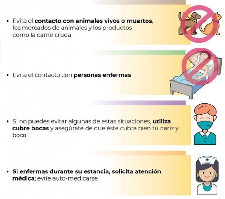 recomendaciones coronavirus