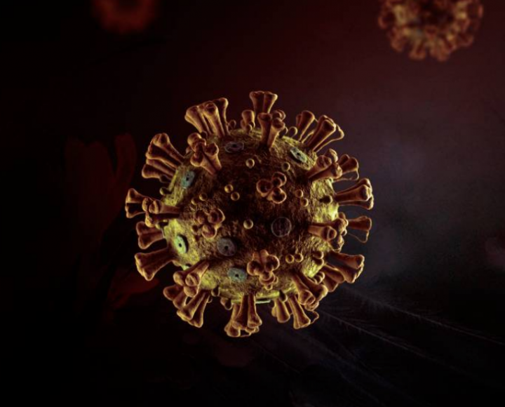 Coronavirus