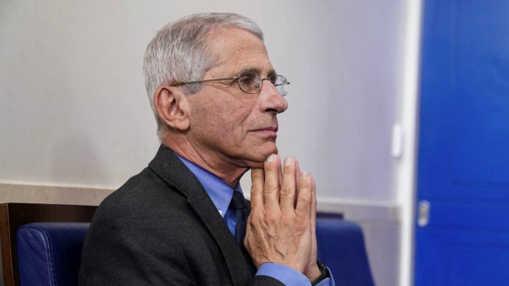 Fauci