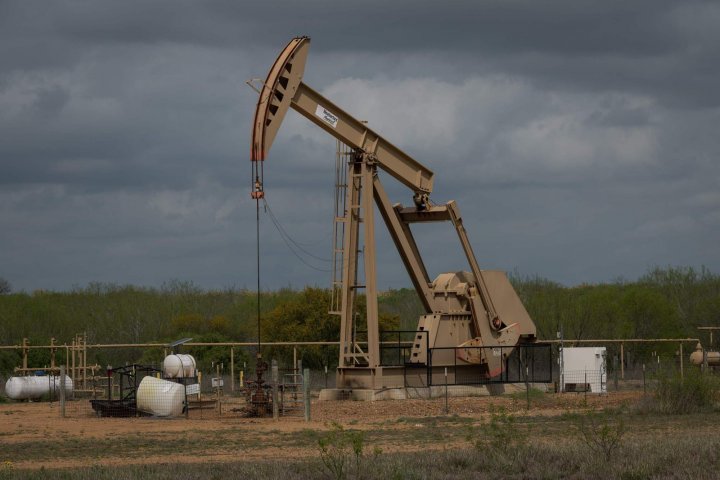 Oil