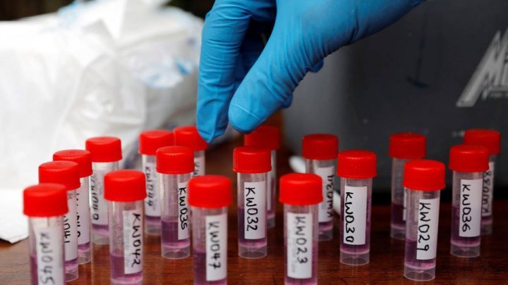 Coronavirus test that gives "results within 24 hours of infection"