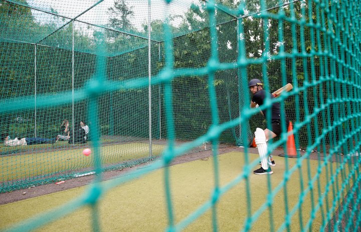Cricket