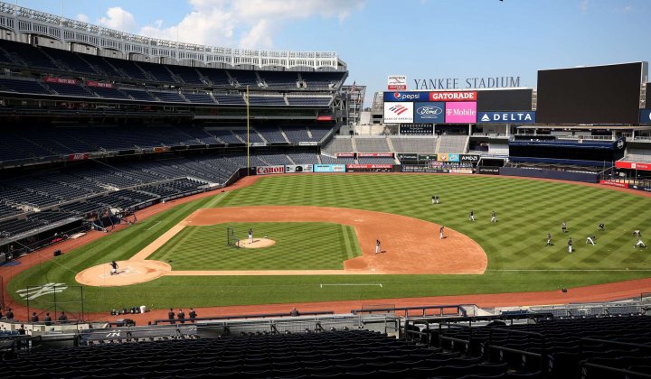 yankee