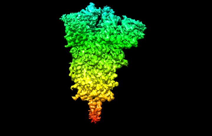 virus atos
