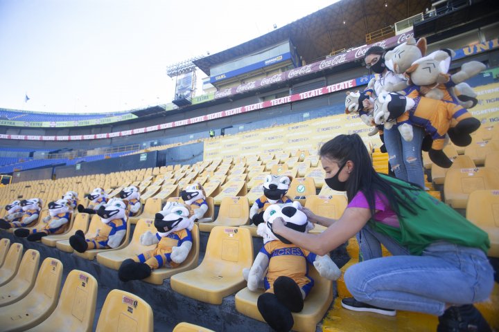 Afición Tigres