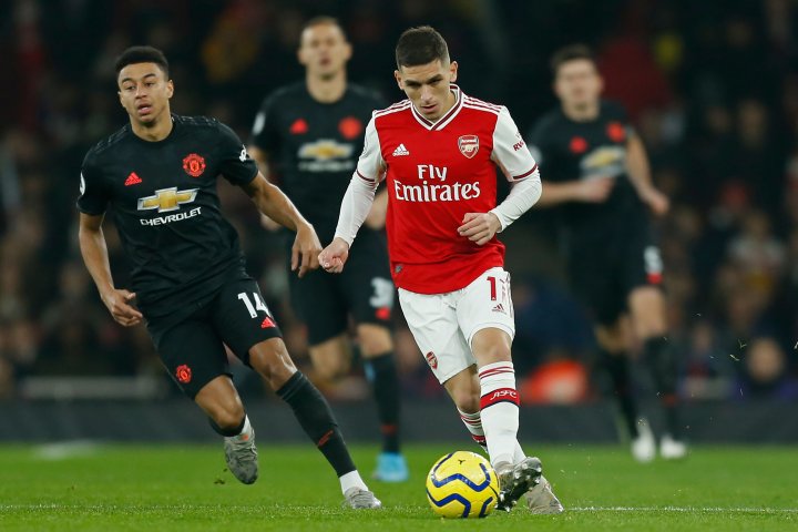 Torreira
