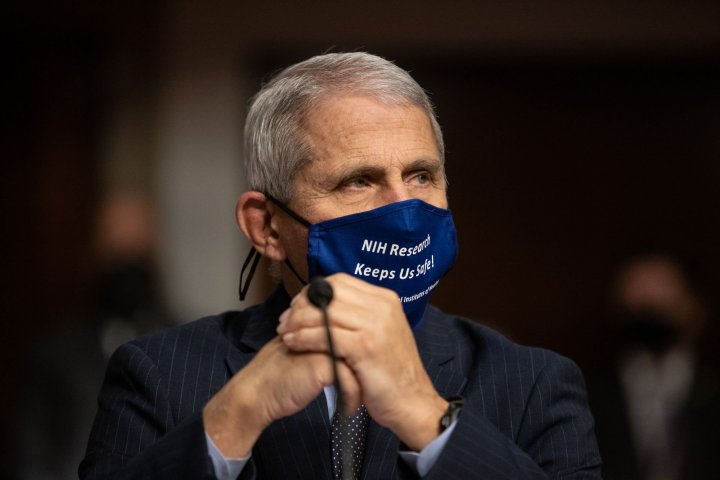 Dr Fauci mask