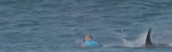 Un tiburón ataca al surfista Mick Fanning en Sudáfrica