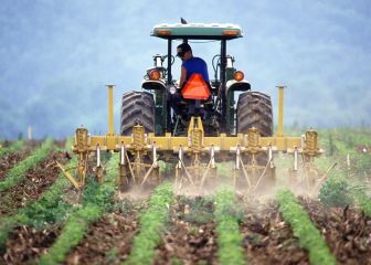 Renta Agraria del SEPE: cuánto se cobra y quiénes la pueden solicitar thumbnail
