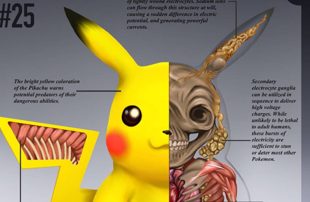 Pokémon - Este ilustrador 'disecciona' a Pikachu para saber de dónde