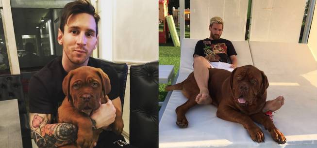 Instagram: 13 veces en las que Messi y su perro creciendo fueron como ...