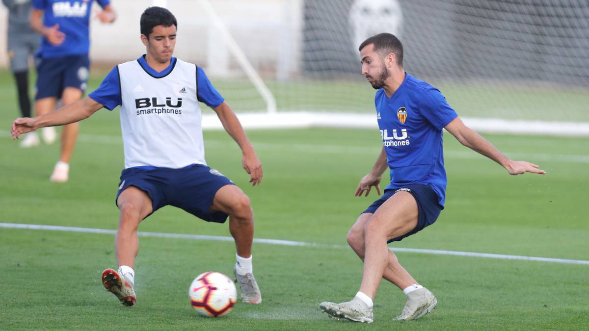 BLU GAYÀ Blu Gayà