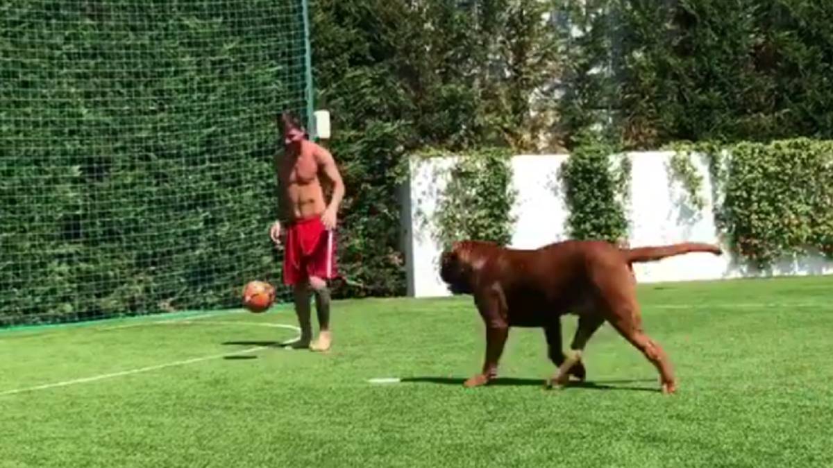 Messi se relaja jugando al fútbol con su perro y su hijo alucina - AS.com